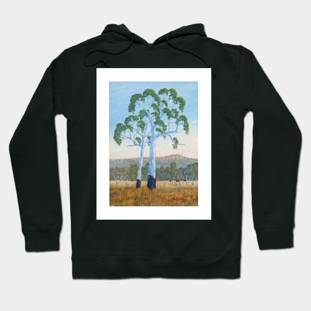 Gum Trees, Looking to Mt Stuart Townsville - Oil on board Hoodie by pops